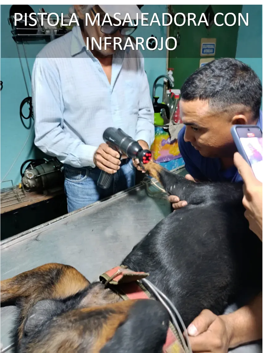 Fisioterapia